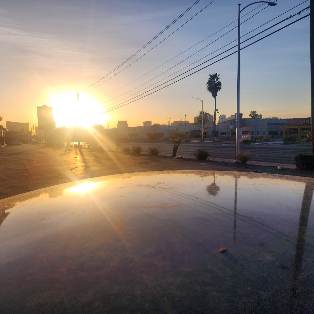 Meet your Posher, Brynn